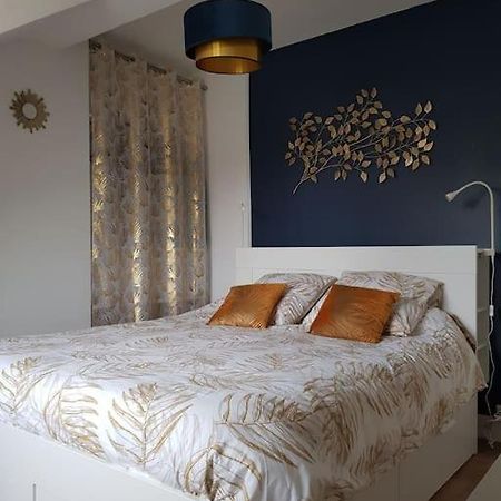Appartement Lumineux Et Moderne Льо Ман Екстериор снимка